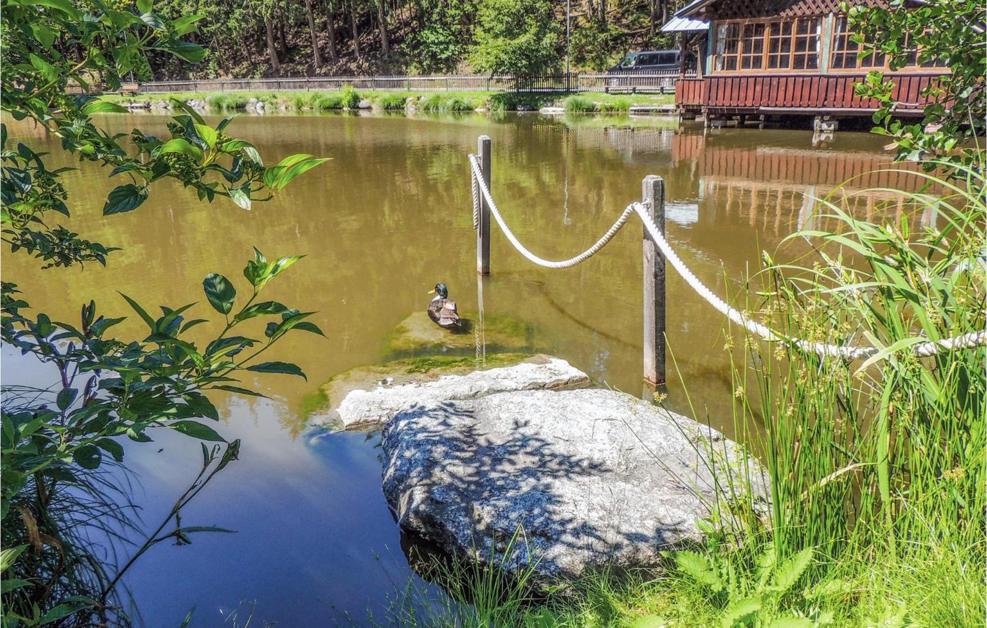 Ferienwohnung Mit Seeblick Aldrans Zewnętrze zdjęcie